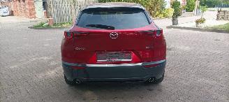 Mazda CX-30 1.8-skyactiv Executive Navi Head-up Keyless entry Leder Zwart/Bruin Climatecontrol Stoelverwarming Regensensor Drivelane assistent Dimmende binnenspiegel Achteruitrijcamera Elektrische achterklep picture 5