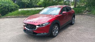Mazda CX-30 1.8-skyactiv Executive Navi Head-up Keyless entry Leder Zwart/Bruin Climatecontrol Stoelverwarming Regensensor Drivelane assistent Dimmende binnenspiegel Achteruitrijcamera Elektrische achterklep picture 13