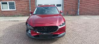 Mazda CX-30 Bj:08-2019 1.8-Skyactive Diesel Navigatie Climatecontrol Leder Memory Sportstoelen Blindspot Drivelane Headup Display Full-Led koplampen Led achterlichten Elektrische achterklep picture 12