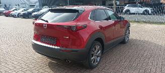 Mazda CX-30 Bj:08-2019 1.8-Skyactive Diesel Navigatie Climatecontrol Leder Memory Sportstoelen Blindspot Drivelane Headup Display Full-Led koplampen Led achterlichten Elektrische achterklep picture 6