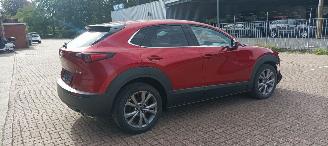 Mazda CX-30 Bj:08-2019 1.8-Skyactive Diesel Navigatie Climatecontrol Leder Memory Sportstoelen Blindspot Drivelane Headup Display Full-Led koplampen Led achterlichten Elektrische achterklep picture 7