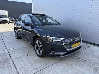 Audi E-tron 50 QUATRO Launch edition plus 71 kWh PANO-NAVI-LEDER picture 2