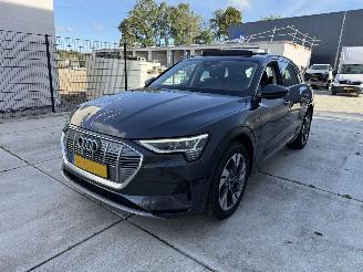 Damaged car Audi E-tron 50 Quatro Launch Edition Plus 71 kWh PANO-LEDER-NAVI 2019/12