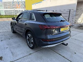 Audi E-tron 50 Quatro Launch Edition Plus 71 kWh PANO-LEDER-NAVI-PDC picture 4