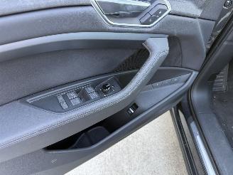 Audi E-tron 50 Quatro Launch Edition Plus 71 kWh PANO-LEDER-NAVI-PDC picture 16