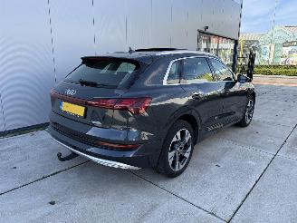 Audi E-tron 50 Quatro Launch Edition Plus 71 kWh PANO-LEDER-NAVI-PDC picture 5