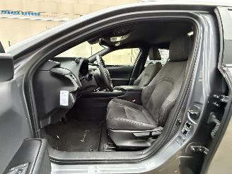 Lexus UX 250h HYBRID CAMERA - KEYLESS - ACC picture 8