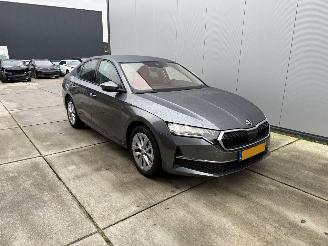 Avarii autoturisme Skoda Octavia 1.5 TSI E-TEC MHEV 110 KW DSG-CAMERA-NAVI-PDC 2024/11