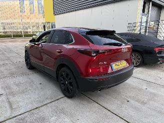 Mazda CX-30 2.5 e-SkyActiv-G M Hybrid Nagisa-LEDER-CAMERA-NAVI-HUD picture 4