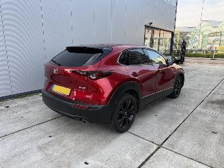 Mazda CX-30 2.5 e-SkyActiv-G M Hybrid Nagisa-LEDER-CAMERA-NAVI-HUD picture 5