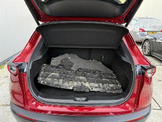 Mazda CX-30 2.5 e-SkyActive-G M Hybrid Nagisa-LEDER-HUD-NAVI-CAMERA picture 10