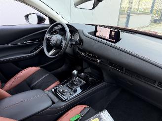Mazda CX-30 2.5 e -SkyActive-G M Hybrid Nagisa-LEDER-CAMERA-HUD-NAVI-PDC picture 6
