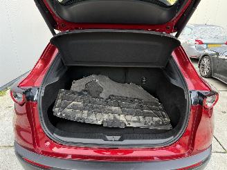 Mazda CX-30 2.5 e -SkyActive-G M Hybrid Nagisa-LEDER-CAMERA-HUD-NAVI-PDC picture 10