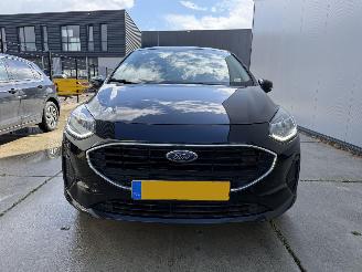 Ford Fiesta 1.0 Ecoboost Titanium-NAVI-PDC-CLIMA picture 12