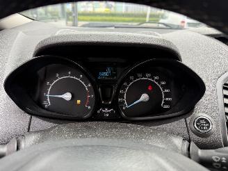 Ford EcoSport 1.0 EcoBoost Limited Edition-LEDER-KEYLESS-NAVI picture 18