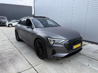 Audi E-tron E-TRON 55 quattro advanced 95 kWh-PANO-LEDER-360 CAMERA picture 2