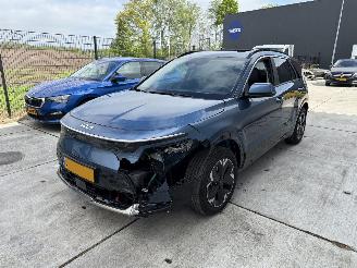 Kia e-Niro EXECUTIVE LINE 64.8 kWh -NAVI-CAMERA-LEDER-SCHUIFDAK picture 2