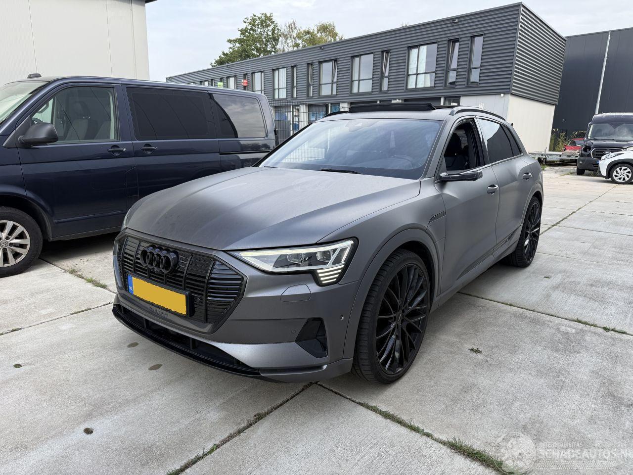 Audi E-tron 55Quatro 95 kWh 360 CAMERA-NAVI-LEDER-PANO-408 PK