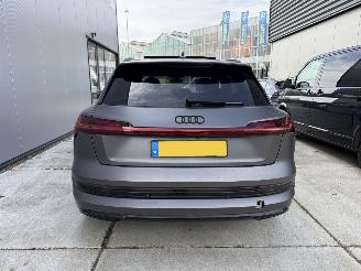 Audi E-tron 55 QUATRO 95 kWh  408 PK PANO-NAVI-LEDER-CAMERA picture 7