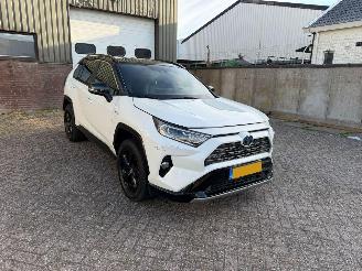 Toyota Rav-4 2.5 Hybrid AWD Bi-Tone picture 2