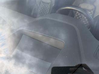 Audi Q8 55 TFSI E Quattro S-Line Bang&Olufsen Sfeerverlichting Head-Up picture 16