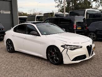 Alfa Romeo Giulia 2.2D Automaat Super Pano picture 2