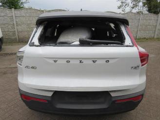 Volvo XC40 XC40 (XZ), SUV, 2017 1.5 T3 12V picture 10