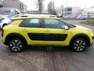 Citroën C4 cactus 1.2 VTI SHINE CLIMA picture 5