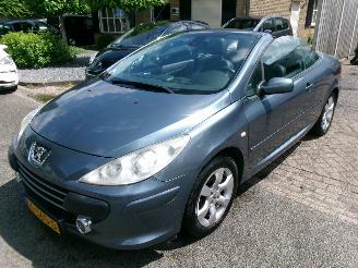 Avarii autoturisme Peugeot 307 1.6-16V CABRIOLET CLIMA LEDER 2009/2