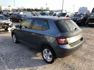 Schadeauto Skoda Fabia 1.0 2019/12