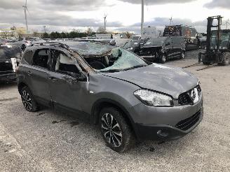 Nissan Qashqai+2 1.6 DCI picture 2