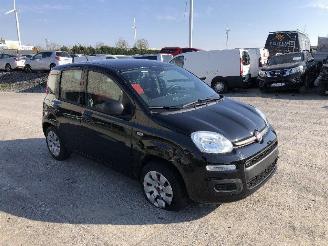 Fiat Panda 1.2 picture 5
