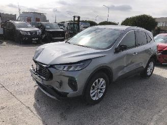 Ford Kuga 2.5 HYBRID picture 4