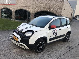 Fiat Panda 1.0 CITY CROSS picture 1