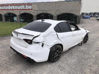 Alfa Romeo Giulia 2.0 TURBO 55273835 picture 1