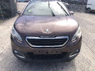 Peugeot 2008 1.4 HDI picture 7