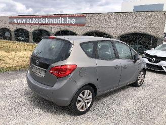 Opel Meriva 1.4 A14XER picture 3