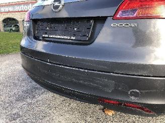 Opel Insignia BREAK  2.0 CDTI picture 9