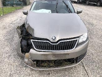 Skoda Rapid 1.2 TSI picture 7