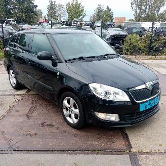 Auto incidentate Skoda Fabia  2011/5