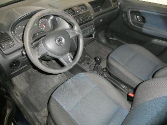 Skoda Fabia II ACTIVE picture 19