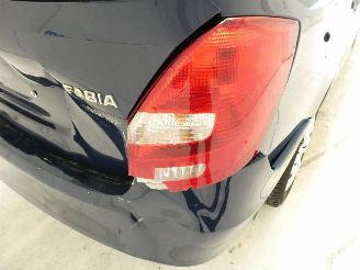 Skoda Fabia II ACTIVE picture 9