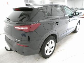 Opel Grandland  picture 9