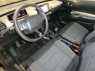 Citroën C4 CACTUS picture 19