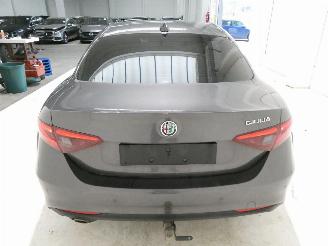 Alfa Romeo Giulia 2.2SD SUPER picture 7