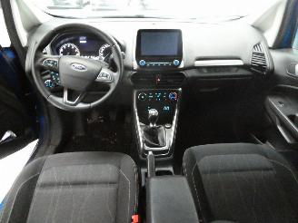 Ford EcoSport 1.0 picture 15