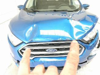 Ford EcoSport 1.0 picture 4