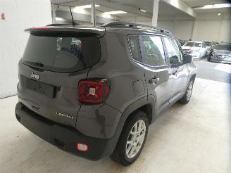 Jeep Renegade LIMITED picture 11