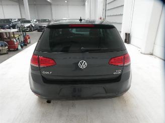 Volkswagen Golf ALLSTAR picture 8
