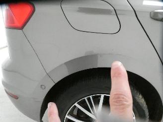 Volkswagen Golf SPORTSVAN ALLST picture 10